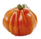 Fleischtomaten Ochsenherz