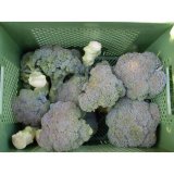 Broccoli, lose