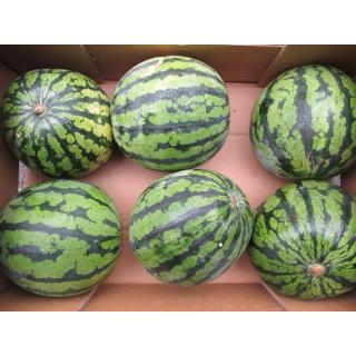 Mini Wassermelonen, ganz