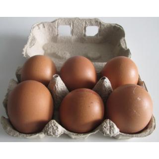 Bio Eier aus Festställen, Stück