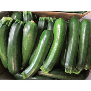 Zucchini grün