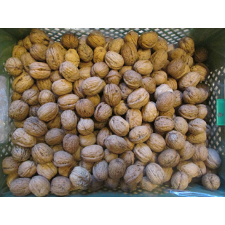 Grenobler Walnüsse AOP,  Kal.30 - 32