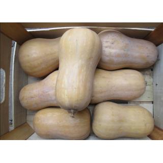 Butternut Kürbis, Stück nach Gewicht
