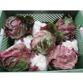 Radicchio, Stück pro Gewicht