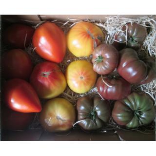Fleischtomaten-Mix, samenfest