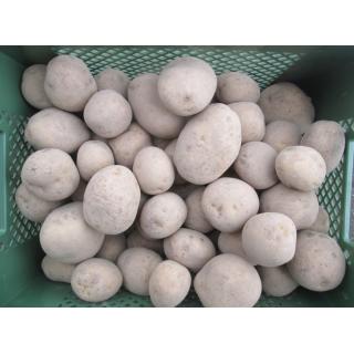 Speisekartoffel Karelia  mehligk.