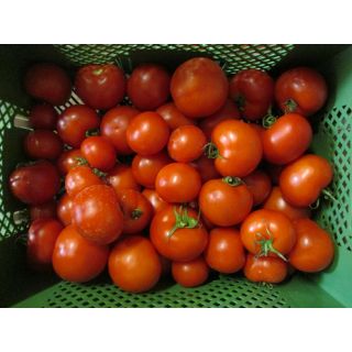 Tomaten, regional, rund
