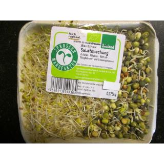 Salat-Mischung  Sprossen 100g