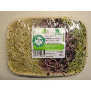 Berliner Sommersprossen 75g