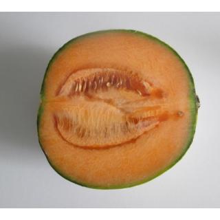 Melone Charentais, halbe Frucht