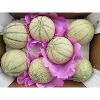 Melone Charentais, ganz