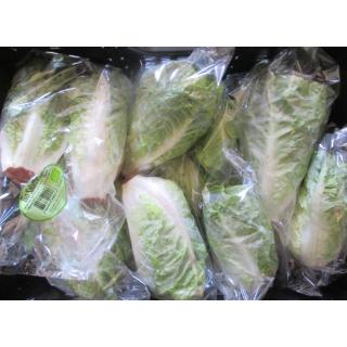 Mini Romanasalat  grün  2 St/ Tüte