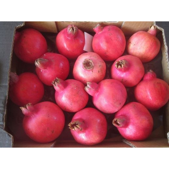 Granatäpfel, frisch