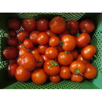 Tomaten, Deutschland