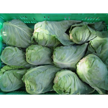 Spitzkohl, Preis nach Gewicht