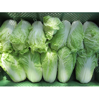 Chinakohl, Preis nach Gewicht