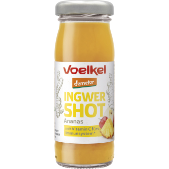 Shot Ingwer Ananas  95ml -kühlfrisch-